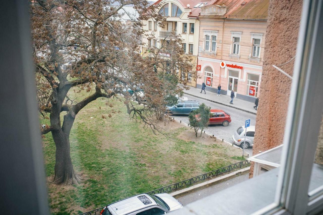 Historical Center Apartment Uzhhorod